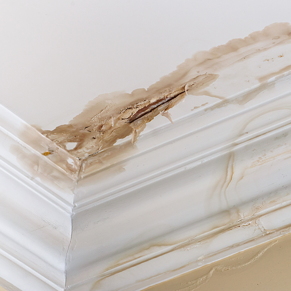 how-to-fix-a-leaky-roof-hero